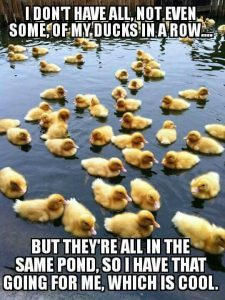 Ducks
