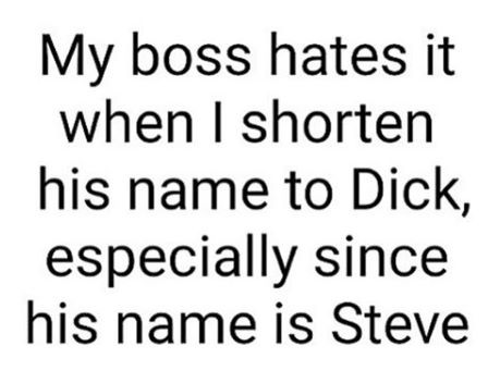 Dick-Steve